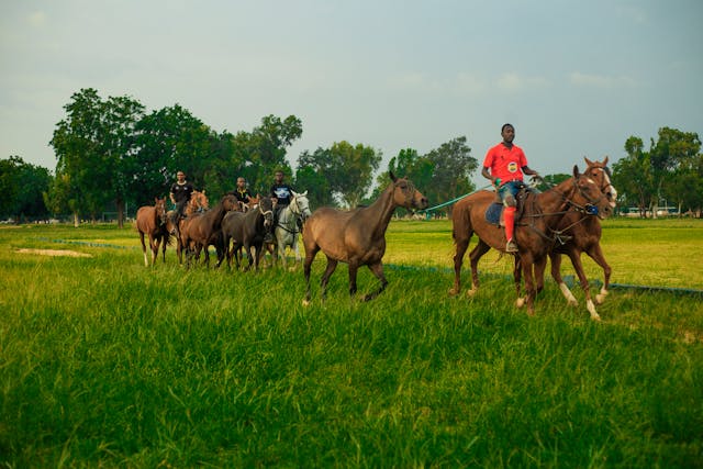 community engagement2